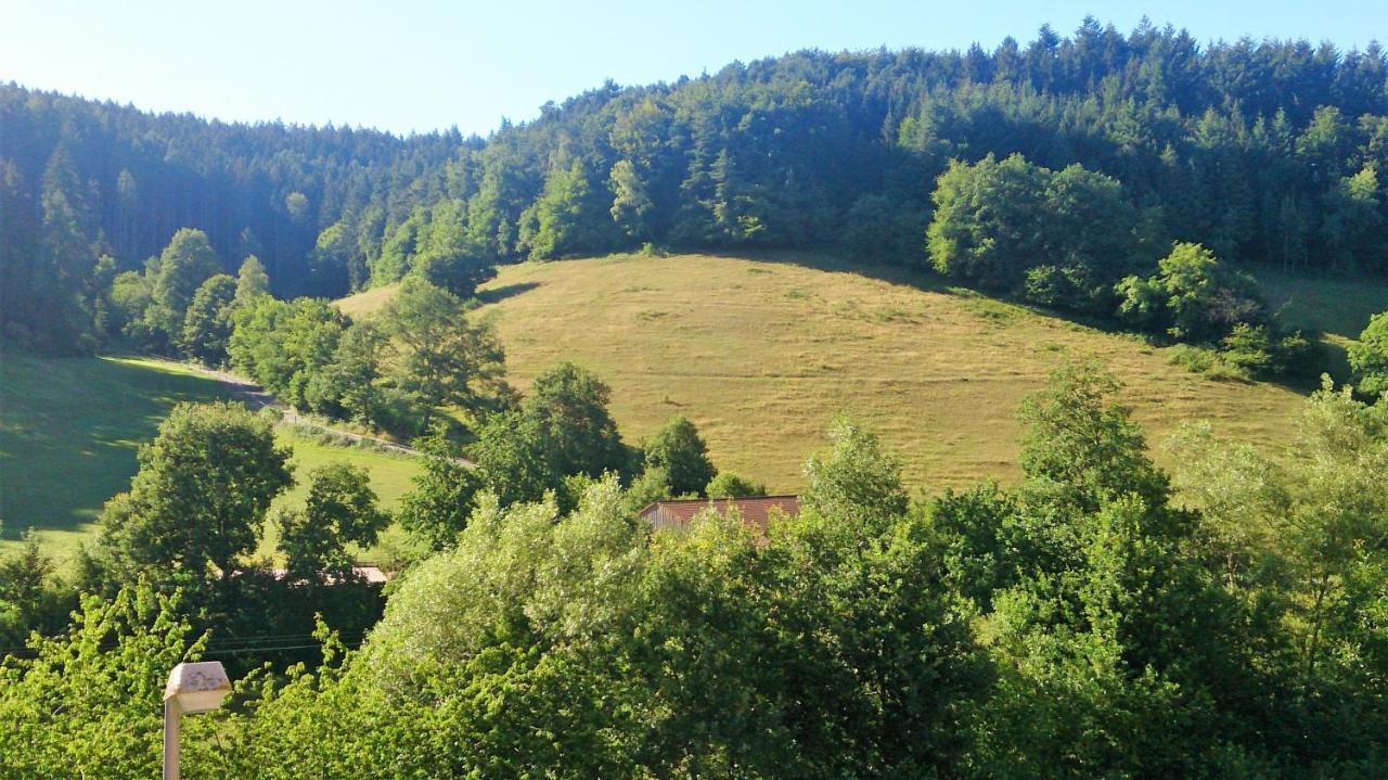 Hotel Gasthof Zur Krone Oberzent Exterior foto